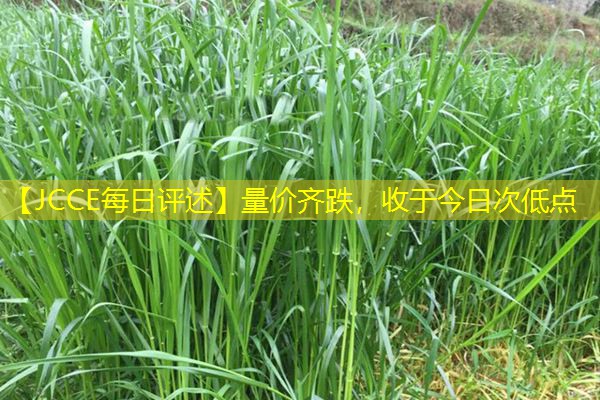 【JCCE每日评述】量价齐跌，收于今日次低点