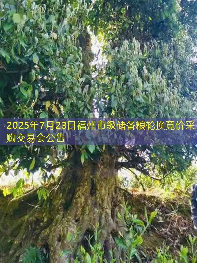 2025年7月23日福州市级储备粮轮换竞价采购交易会公告