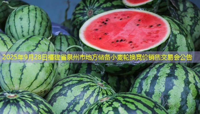 2025年9月28日福建省泉州市地方储备小麦轮换竞价销售交易会公告
