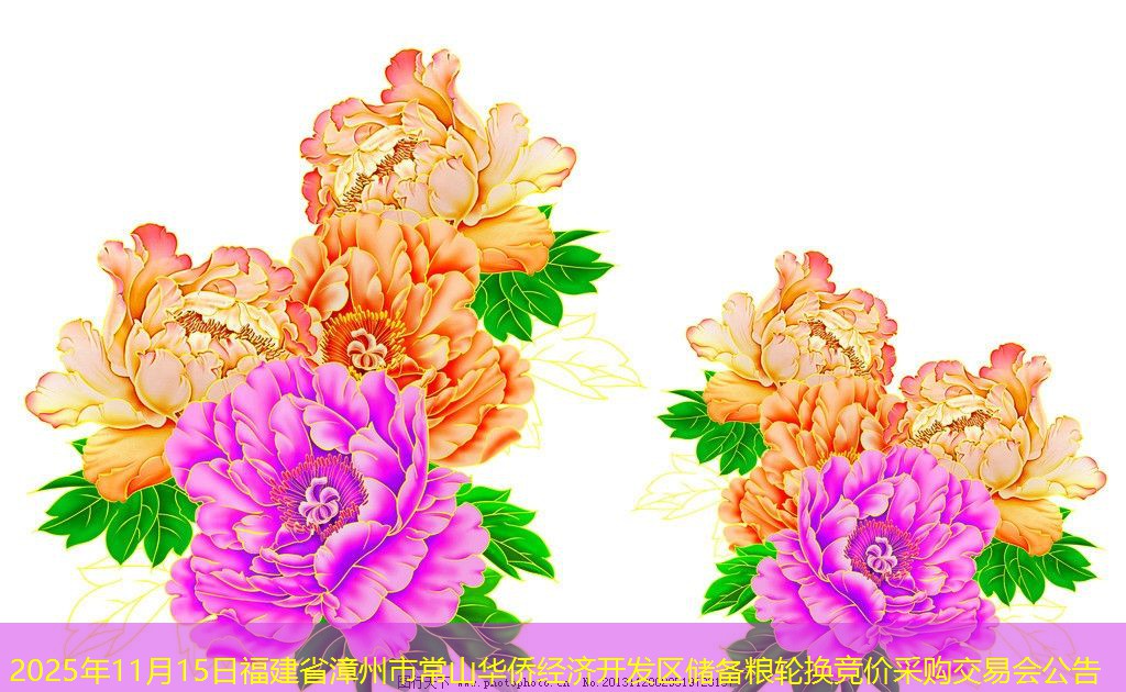 2025年11月15日福建省漳州市常山华侨经济开发区储备粮轮换竞价采购交易会公告