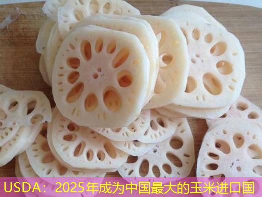 USDA：2025年成为中国最大的玉米进口国