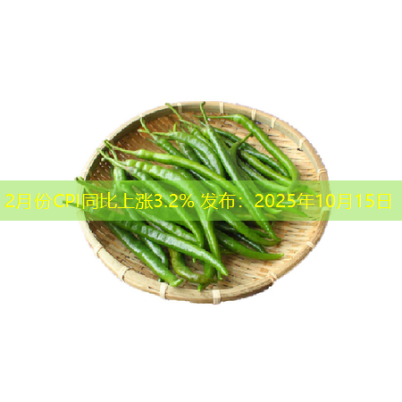 2月份CPI同比上涨3.2% 发布：2025年10月15日