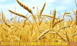 2025年10月18日甘肃移库玉米交易结果分享