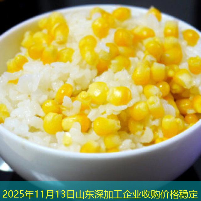 2025年11月13日山东深加工企业收购价格稳定