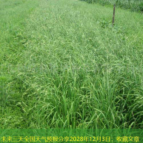 未来三天全国天气预报分享2028年12月3日：收藏文章