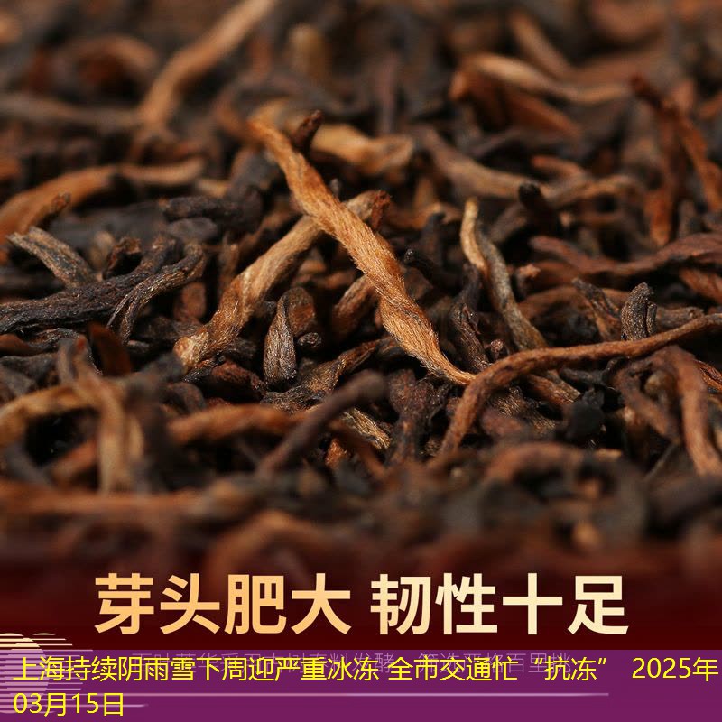 上海持续阴雨雪下周迎严重冰冻 全市交通忙“抗冻” 2025年03月15日