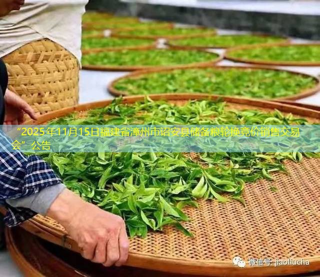 “2025年11月15日福建省漳州市诏安县储备粮轮换竞价销售交易会”公告