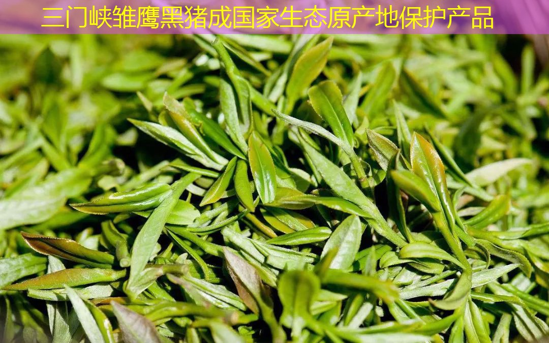 三门峡雏鹰黑猪成国家生态原产地保护产品