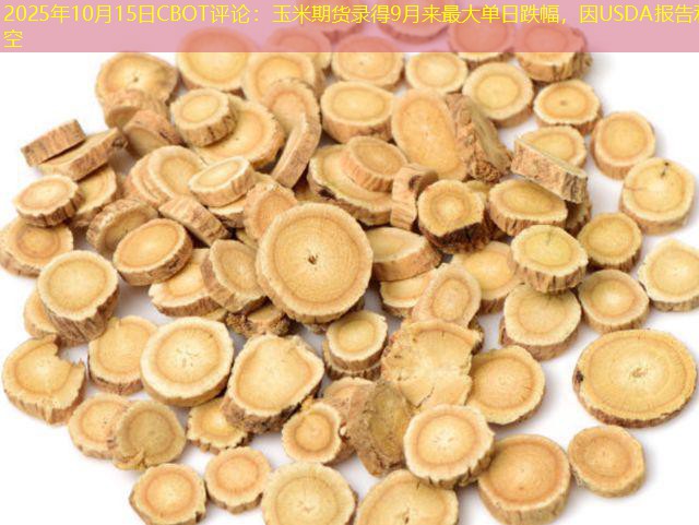 2025年10月15日CBOT评论：玉米期货录得9月来最大单日跌幅，因USDA报告利空