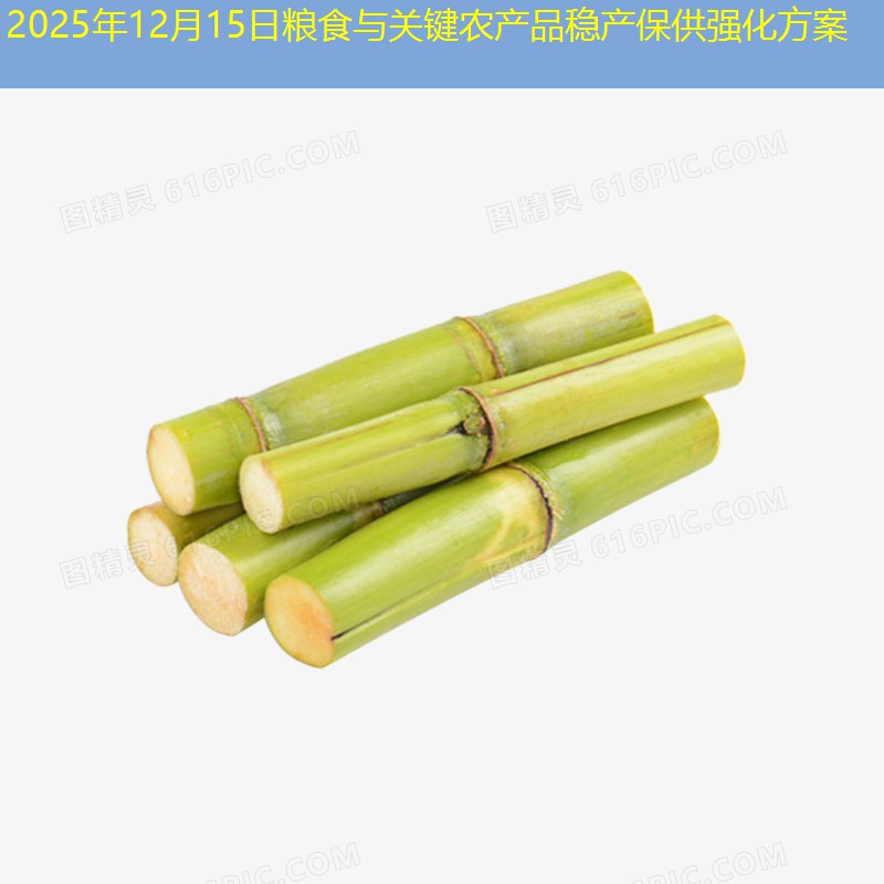 2025年12月15日粮食与关键农产品稳产保供强化方案