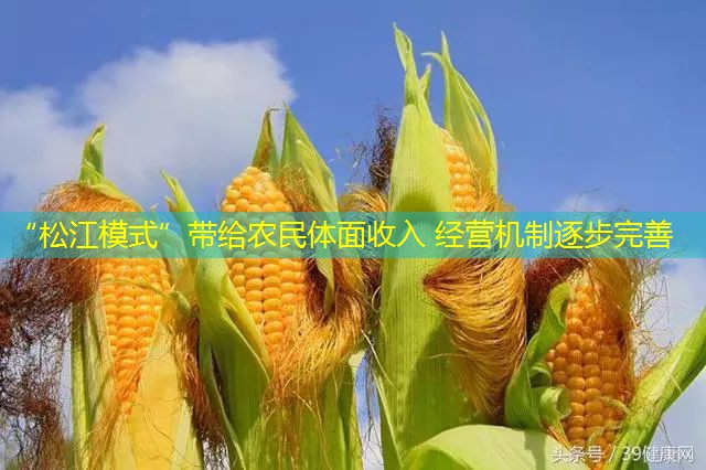 “松江模式”带给农民体面收入 经营机制逐步完善