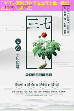 CBOT小麦期货收低但远高于盘中低位2025年10月12日