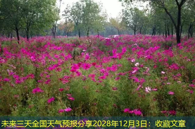 未来三天全国天气预报分享2028年12月3日：收藏文章