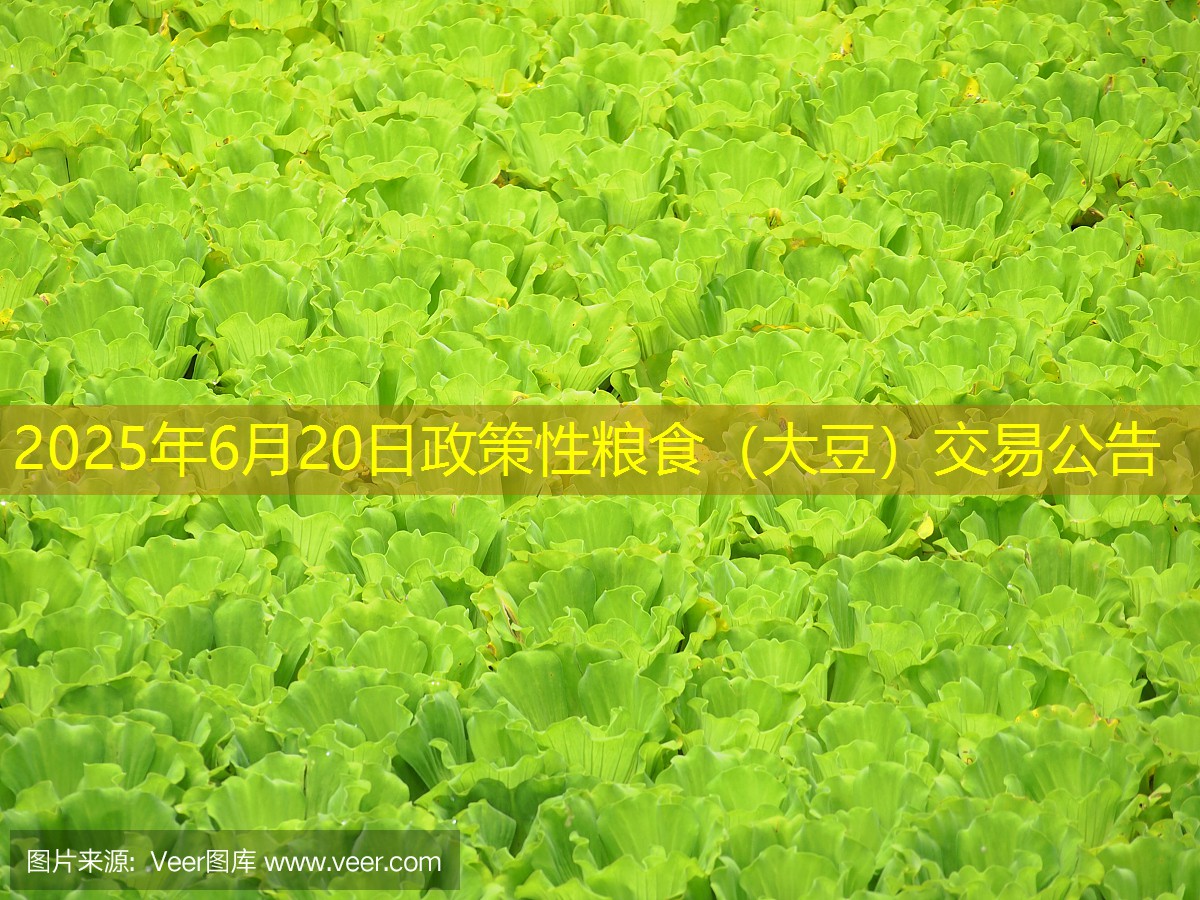 2025年6月20日政策性粮食（大豆）交易公告