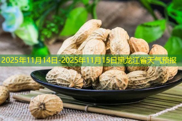 2025年11月14日-2025年11月15日黑龙江省天气预报