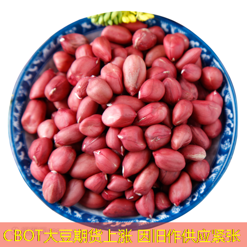 CBOT大豆期货上涨 因旧作供应紧张