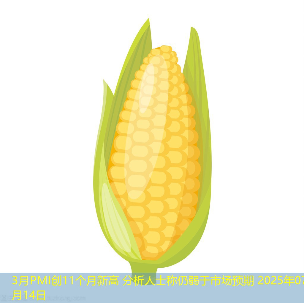 3月PMI创11个月新高 分析人士称仍弱于市场预期 2025年07月14日