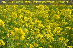 2025年11月23日黑龙江森林与城镇火险趋势预测分析