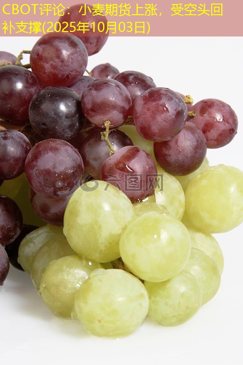 CBOT评论：小麦期货上涨，受空头回补支撑(2025年10月03日)