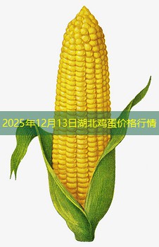 2025年12月13日湖北鸡蛋价格行情