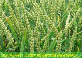 2026年09月15日国内食用油市场行情分析报告