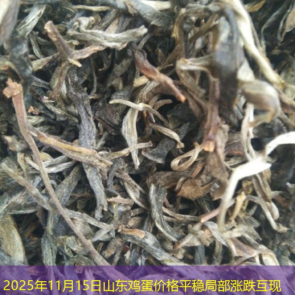 2025年11月15日山东鸡蛋价格平稳局部涨跌互现