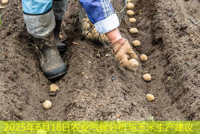 2025年6月18日农业气候分析与玉米生产建议