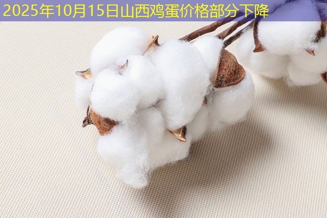 2025年10月15日山西鸡蛋价格部分下降