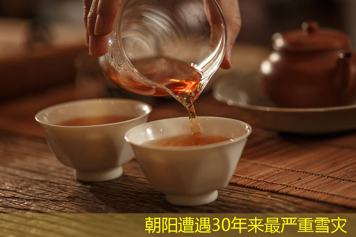 朝阳遭遇30年来最严重雪灾