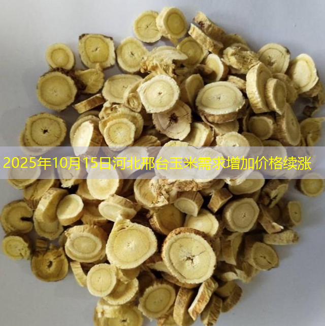 2025年10月15日河北邢台玉米需求增加价格续涨