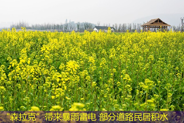 “森拉克”带来暴雨雷电 部分道路民居积水