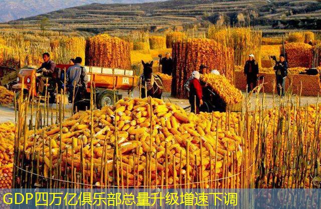 GDP四万亿俱乐部总量升级增速下调