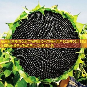 福州杜坞粮食交易市场有限公司市场化用户2026年03月15日代理购电服务采购项目(二次)招标公告