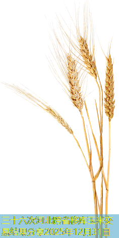 三十六次河北跨省移库玉米交易结果分享2025年12月31日