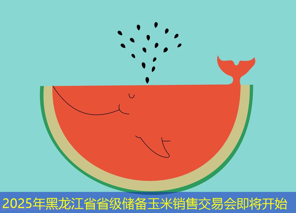 2025年黑龙江省省级储备玉米销售交易会即将开始