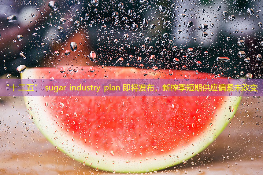 “十二五” sugar industry plan 即将发布，新榨季短期供应偏紧未改变
