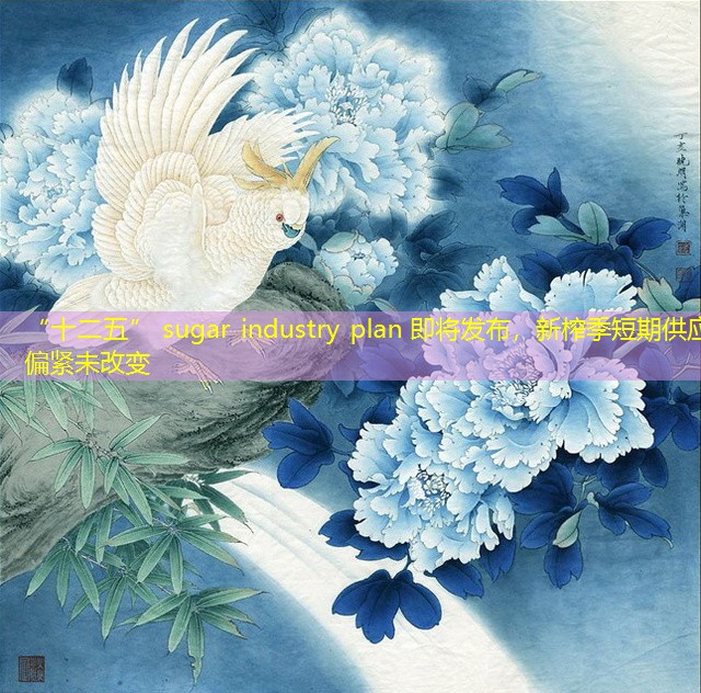 “十二五” sugar industry plan 即将发布，新榨季短期供应偏紧未改变