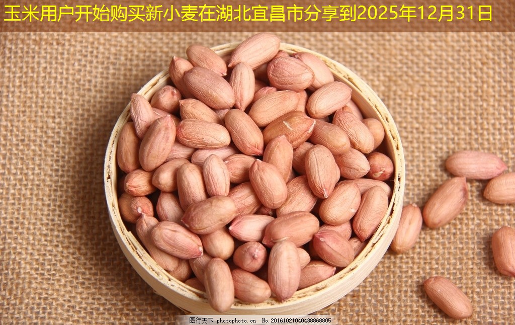 玉米用户开始购买新小麦在湖北宜昌市分享到2025年12月31日