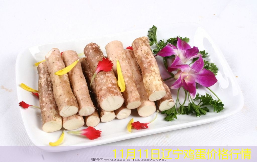 11月11日辽宁鸡蛋价格行情