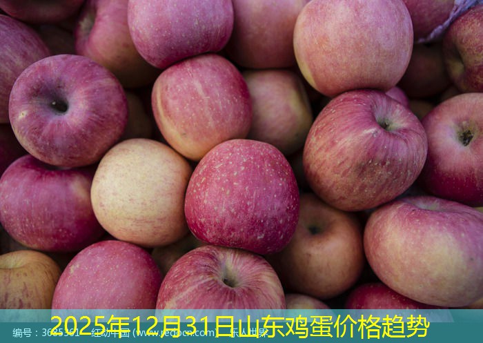 2025年12月31日山东鸡蛋价格趋势