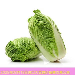 2025年03月15日进口大豆竞价销售交易公告