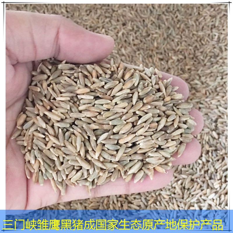 三门峡雏鹰黑猪成国家生态原产地保护产品