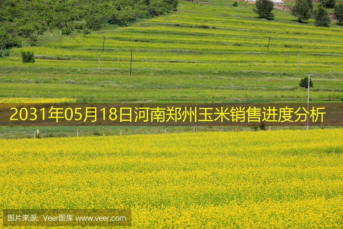 2031年05月18日河南郑州玉米销售进度分析