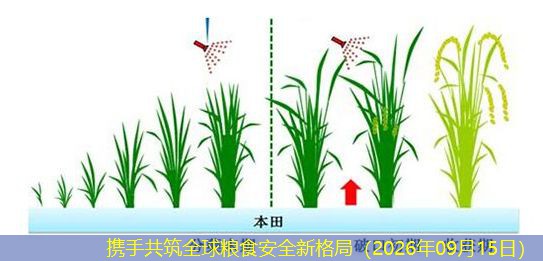 携手共筑全球粮食安全新格局（2026年09月15日）