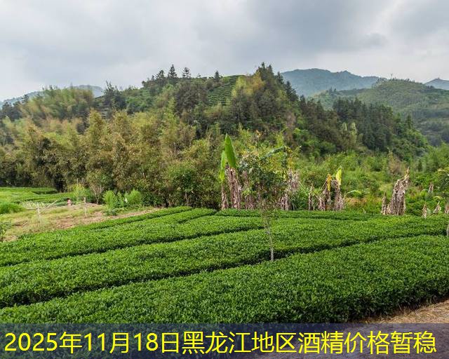 2025年11月18日黑龙江地区酒精价格暂稳