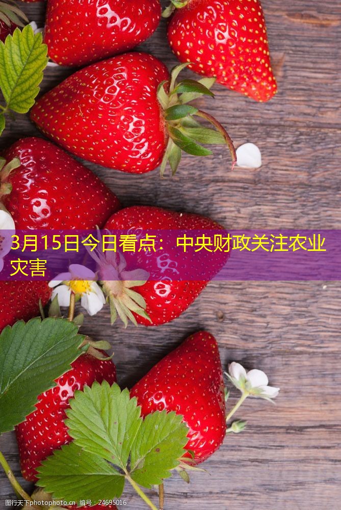 3月15日今日看点：中央财政关注农业灾害