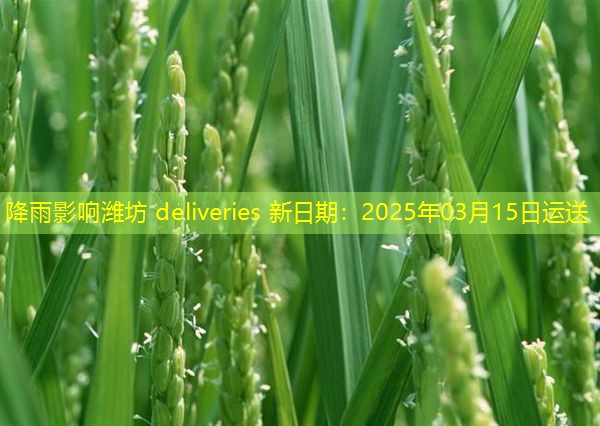 降雨影响潍坊 deliveries 新日期：2025年03月15日运送