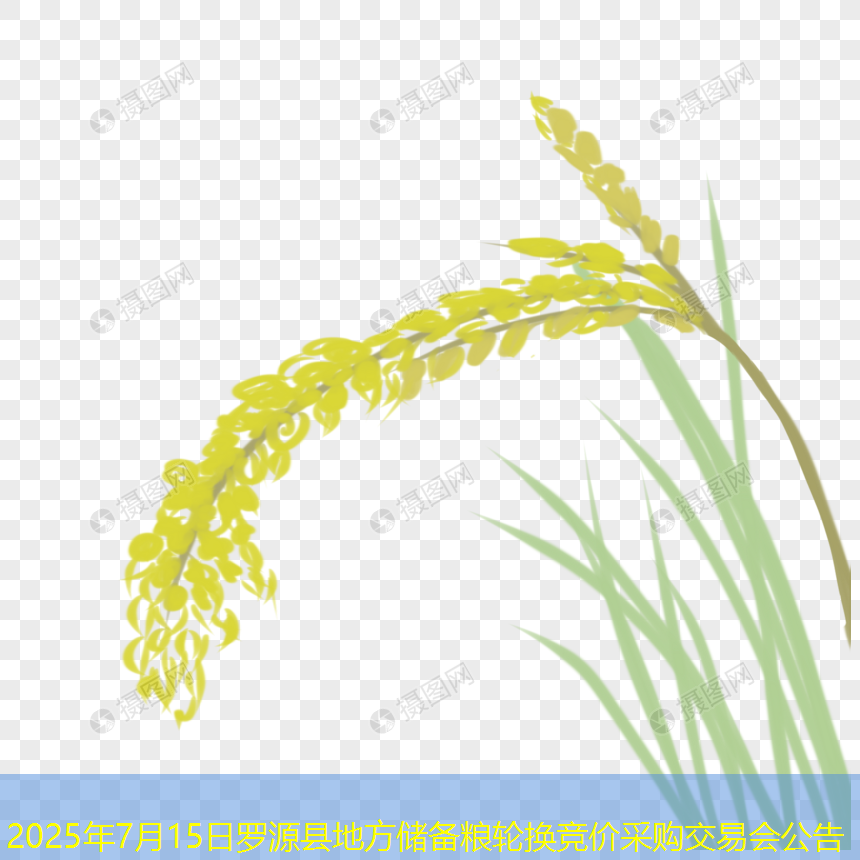 2025年7月15日罗源县地方储备粮轮换竞价采购交易会公告