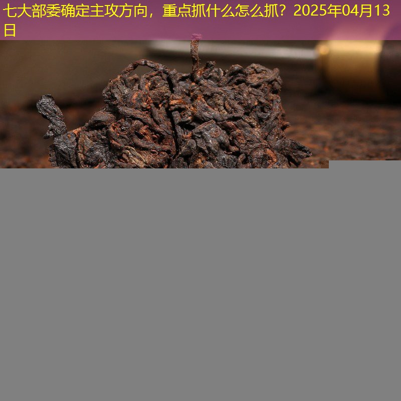 七大部委确定主攻方向，重点抓什么怎么抓？2025年04月13日