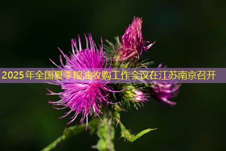 2025年全国夏季粮油收购工作会议在江苏南京召开